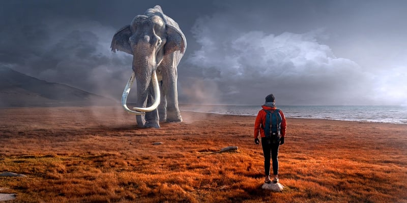 Brave Encounters