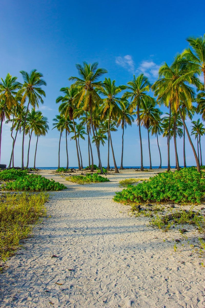 Deserted Paradise